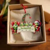 Custom Grinch Family Ornament 2025, Funny Christmas Ornament, Personalized Family Christmas Ornament