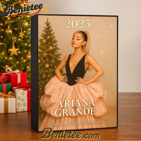 2025 AG Advent Calendar, Christmas Countdown Advent Calendar Gift Box with 24 Acrylic Ornaments