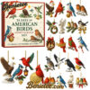 2025 American Birds Advent Calendar, Christmas Countdown Advent Calendar Gift Box with 24 Acrylic Ornaments