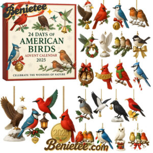 2025 American Birds Advent Calendar, Christmas Countdown Advent Calendar Gift Box with 24 Acrylic Ornaments