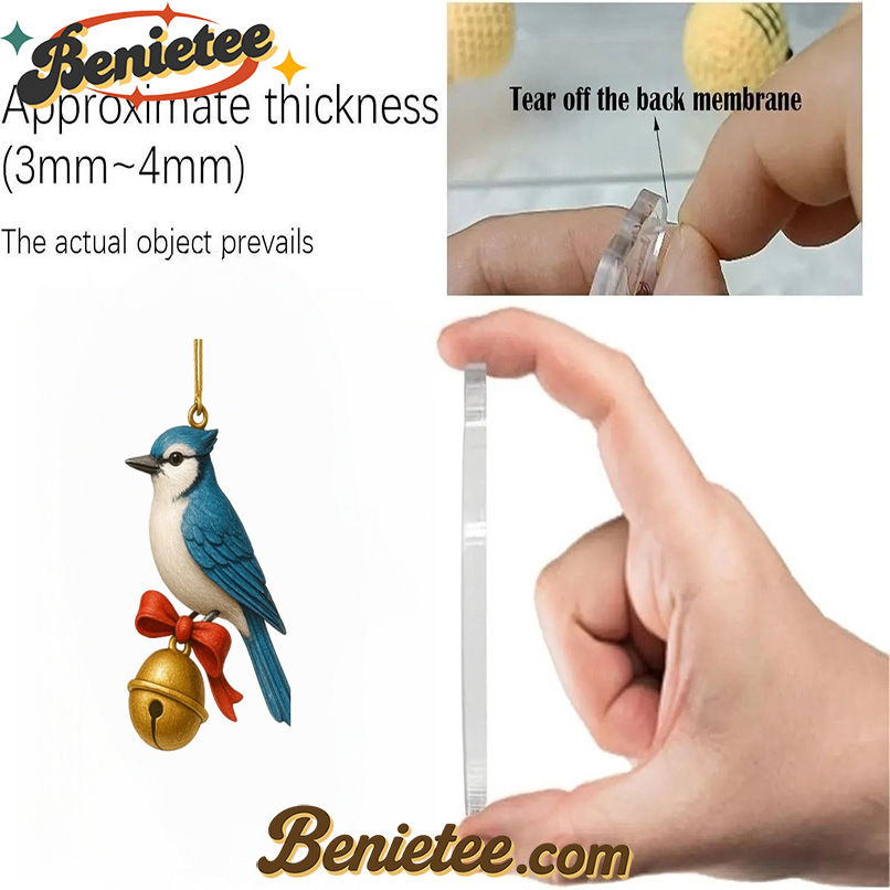 2025 American Birds Advent Calendar, Christmas Countdown Advent Calendar Gift Box with 24 Acrylic Ornaments