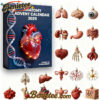 2025 Anatomy Advent Calendar, Christmas Countdown Advent Calendar Gift Box with 24 Acrylic Ornaments