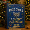 2025 Rice Owls Advent Calendar, Christmas Countdown Advent Calendar Gift Box with 24 Acrylic Ornaments