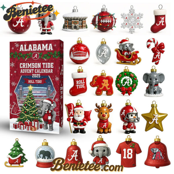 ACT Premium Advent Calendar 2025 CHRISTMAS GIFT, CHRISTMAS IDEA, Christmas Countdown Advent Calendar Gift Box with 24 Acrylic Ornaments