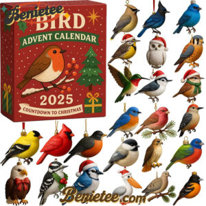 Bird Advent Calendar 2025, Christmas Countdown Advent Calendar Gift Box with 24 Acrylic Ornaments
