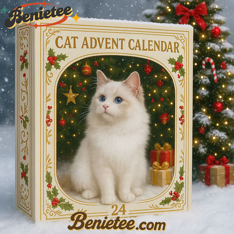 Christmas Cat Advent Calendar, Christmas Countdown Advent Calendar Gift Box with 24 Acrylic Ornaments