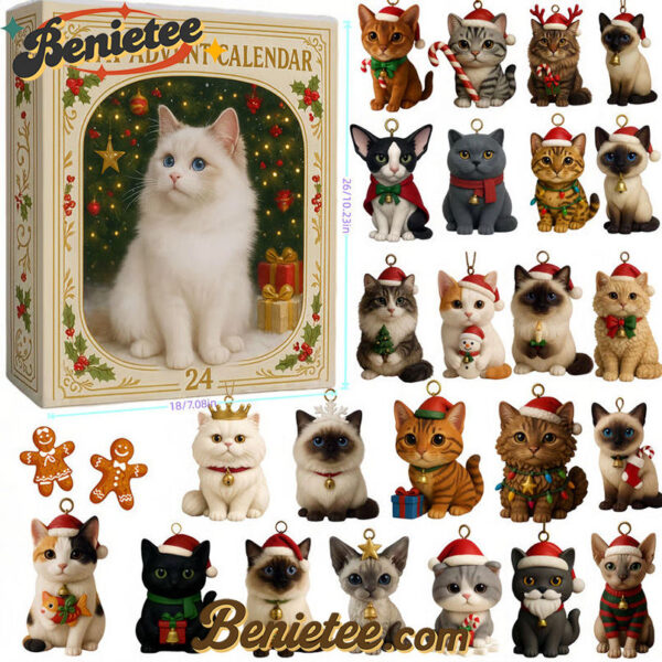 Christmas Cat Advent Calendar, Christmas Countdown Advent Calendar Gift Box with 24 Acrylic Ornaments