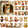 Coigi Advent Calendar 2025 - 24 Gifts Inside!, Christmas Countdown Advent Calendar Gift Box with 24 Acrylic Ornaments