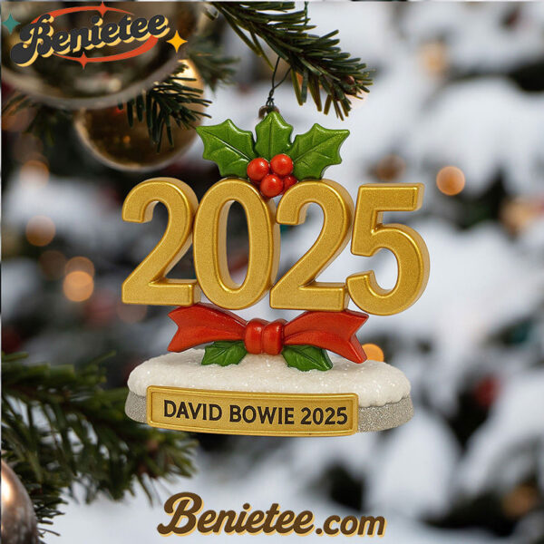 DVB ADVENT CALENDAR 2025 LNTH, Christmas Countdown Advent Calendar Gift Box with 24 Acrylic Ornaments