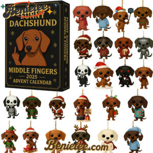 Dachshund Advent Calendar, Christmas Countdown Advent Calendar Gift Box with 24 Acrylic Ornaments