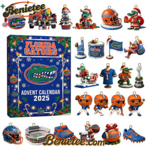 FGT Festive Collectibles Premium Advent Calendar 2025, Christmas Countdown Advent Calendar Gift Box with 24 Acrylic Ornaments