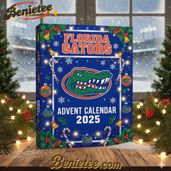 FGT Festive Collectibles Premium Advent Calendar 2025, Christmas Countdown Advent Calendar Gift Box with 24 Acrylic Ornaments