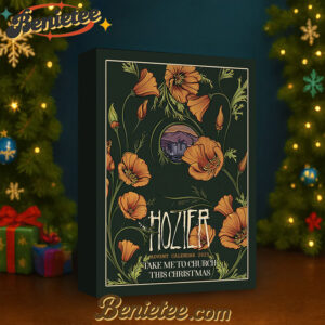 HZR ADVENT CALENDAR 2025 CHRISTMAS GIFT, CHRISTMAS IDEA, Christmas Countdown Advent Calendar Gift Box with 24 Acrylic Ornaments