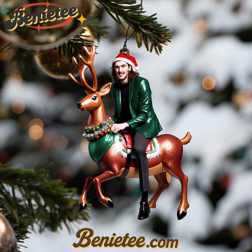 HZR ADVENT CALENDAR 2025 CHRISTMAS GIFT, CHRISTMAS IDEA, Christmas Countdown Advent Calendar Gift Box with 24 Acrylic Ornaments