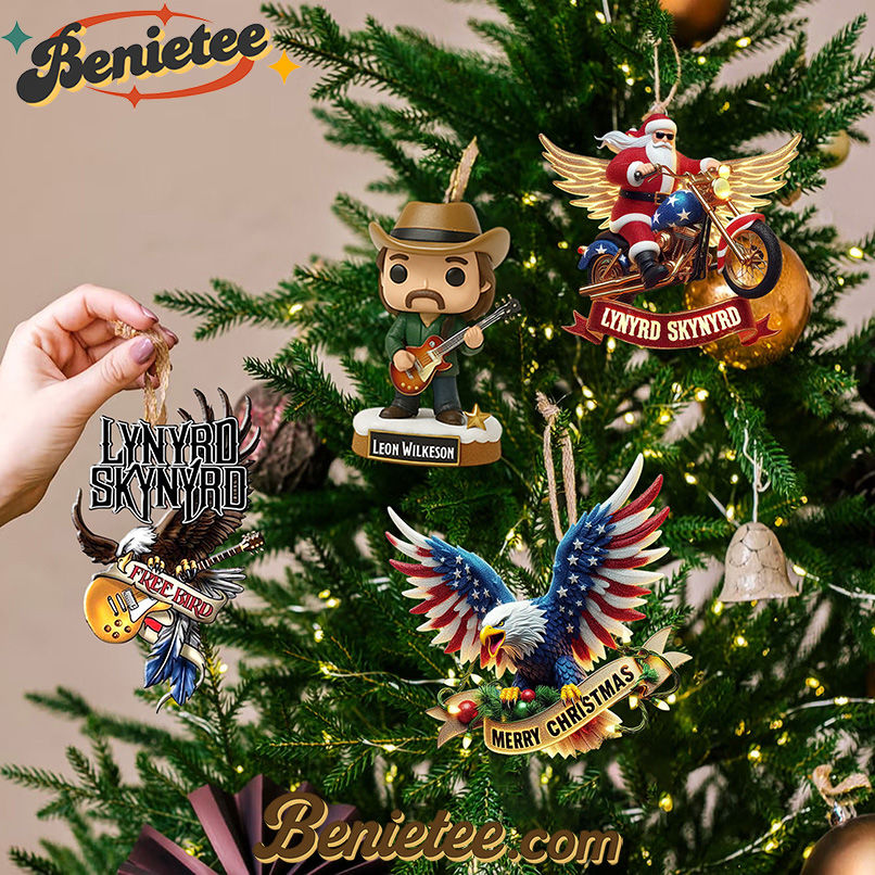 LNSN ADVENT CALENDAR 2025 CHRISTMAS GIFT, CHRISTMAS IDEA, Christmas Countdown Advent Calendar Gift Box with 24 Acrylic Ornaments