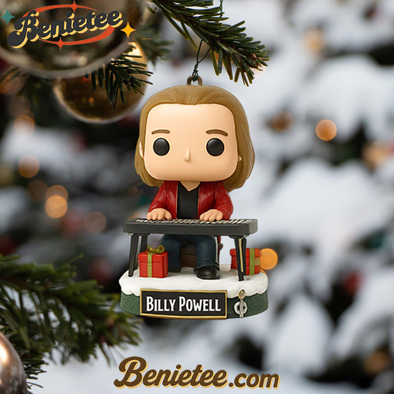 LNSN ADVENT CALENDAR 2025 CHRISTMAS GIFT, CHRISTMAS IDEA, Christmas Countdown Advent Calendar Gift Box with 24 Acrylic Ornaments