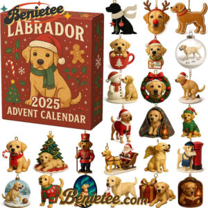 Labrador 2025 Advent Calendar, Christmas Countdown Advent Calendar Gift Box with 24 Acrylic Ornaments
