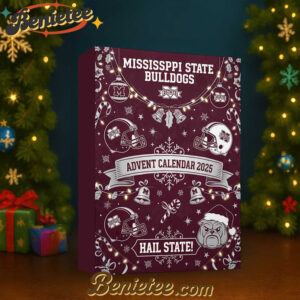 MSB Premium Advent Calendar 2025 CHRISTMAS GIFT, CHRISTMAS IDEA, Christmas Countdown Advent Calendar Gift Box with 24 Acrylic Ornaments