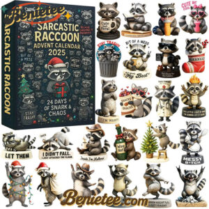 Sarcastic Raccoon Advent Calendar 2025, Christmas Countdown Advent Calendar Gift Box with 24 Acrylic Ornaments