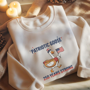 Patriotic Embroidery Shirt, USA 250 Funny Hoodie, 250 Years Strong Embroided Sweatshirt