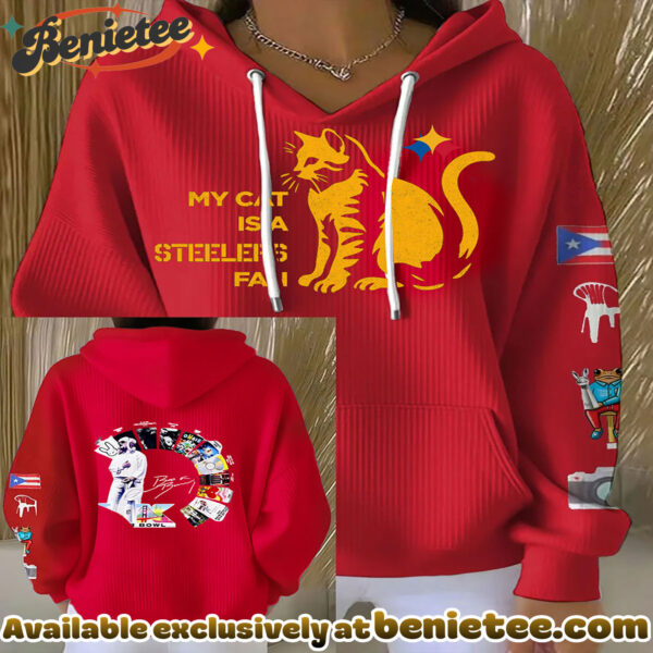 Pittsburgh Steelers My Cat Is A Fan Graphic Hoodie - Ver 2
